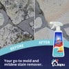 Liapu Highly Instant Mold and MildewStain Remover Spray&Wall Stain Remover