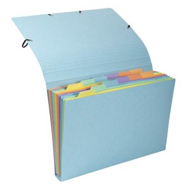 Exacompta 58560E Premium Expanding File Aquarel Made of Extra Strong Colorspan Cardboard for DIN A4 12 Compartments Elastic Closure Perfect for Storing Your Documents Organiser Folder 1 Piece Random Colour