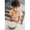 Amish Country Popcorn | 3-2 lb Bags | Medium White