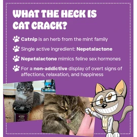 Cat Crack Catnip, Zoomie-Inducing Cat Nip Blend, North American Made & 100% Natural, Safe & Non-Addictive Catnip Treats Used to Supplement Cat Nip Toys, Spray, & Accessories (1 Cup)