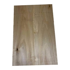 Exotic Wood Zone's Poplar Guitar Body Blank | Explorer Electric Guitar Body (Premium Poplar, 21" x 14" x 2")