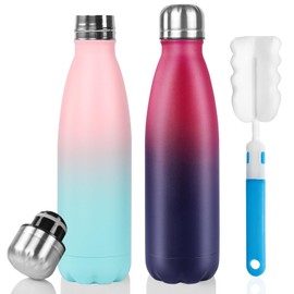 Sfee Insulated Water Bottle, 17 oz Stainless Steel Water Bottles, Double Wall Vacuum Reusable Water Bottles Leak Proof BPA-FREE Sports Bottle Cup Keep Hot&Cold for Running Gym Cycling Kids(DRed+Spink)