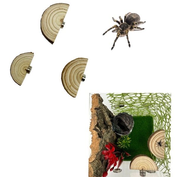 Heyshapeing 3 Pack Natural Wood Jumping Spider Enclosure Ledges with