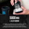 Jacked Factory Creatine Y Glutamine, 30 Porciones Sin Sabor