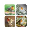 4 x Square Robin Coasters - Garden Birds Animals Nature