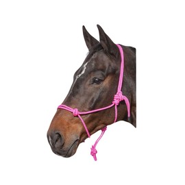 Hi-Viz Reflective Rope Headcollar with Lead Rope Se Fully Adjustable (Full, Pink)
