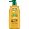 Garnier Fructis Triple Nutrition Conditioner, Dry to Very Dry Hair,