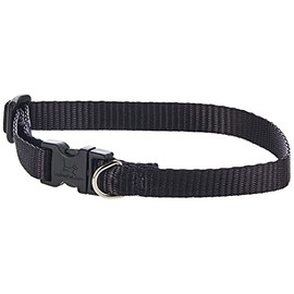LupinePet Basics 1/2" Black 10-16" Adjustable Collar for Small Dogs