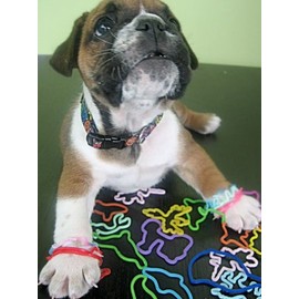  Silly Bandz Save The Gulf Bandz