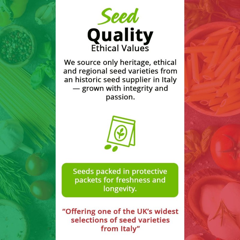 Courgette Zucchino Lungo Bianco – Light Green Italian Variety –