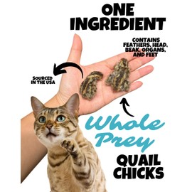 Wholesome Beast Freeze Dried Whole Prey Quail Chicks for Cats, Dogs, & Ferrets- Whole Feathered Quail Treats for Dogs- Single Ingredient- 12 Count