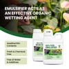 Nature’s Will Combo Pack | 100% Pure Cold-Pressed Neem Oil