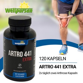 Wellpursan Artro 441 Extra Kapseln (120 Arthrose Kapseln) – Natürliche Unterstützung bei Gelenkschmerzen und Arthrose