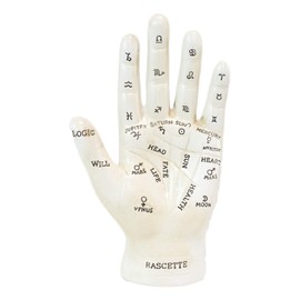 Ebros Gift Ancient Mystical Psychic Fortune Teller Chirology Palmistry Hand Palm with Lines and Symbols Figurine Decor Witchcraft Spiritual Divinity Statue for Palmists Readers (White)