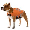 Queenmore Dog Life Jacket,Life Vest for Large Medium Small Dogs,Adjustable