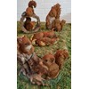 Real Life Running Red Squirrel | Resin Decoration for Home