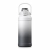 Insulated Water Bottle with Straw & Handle – 316 Stainless