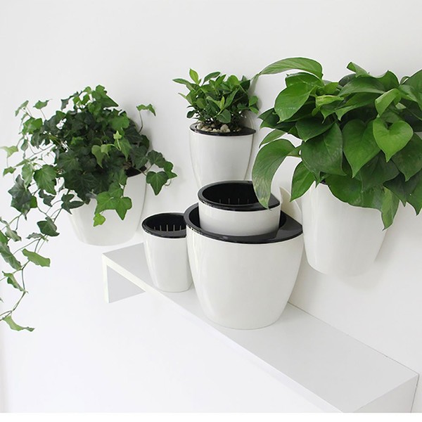 Sungmor Self Watering Wall Planter - Modern White & 3PC