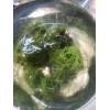 Large: 6 Floating Java Moss Balls Live Aquarium Plant Decoration.