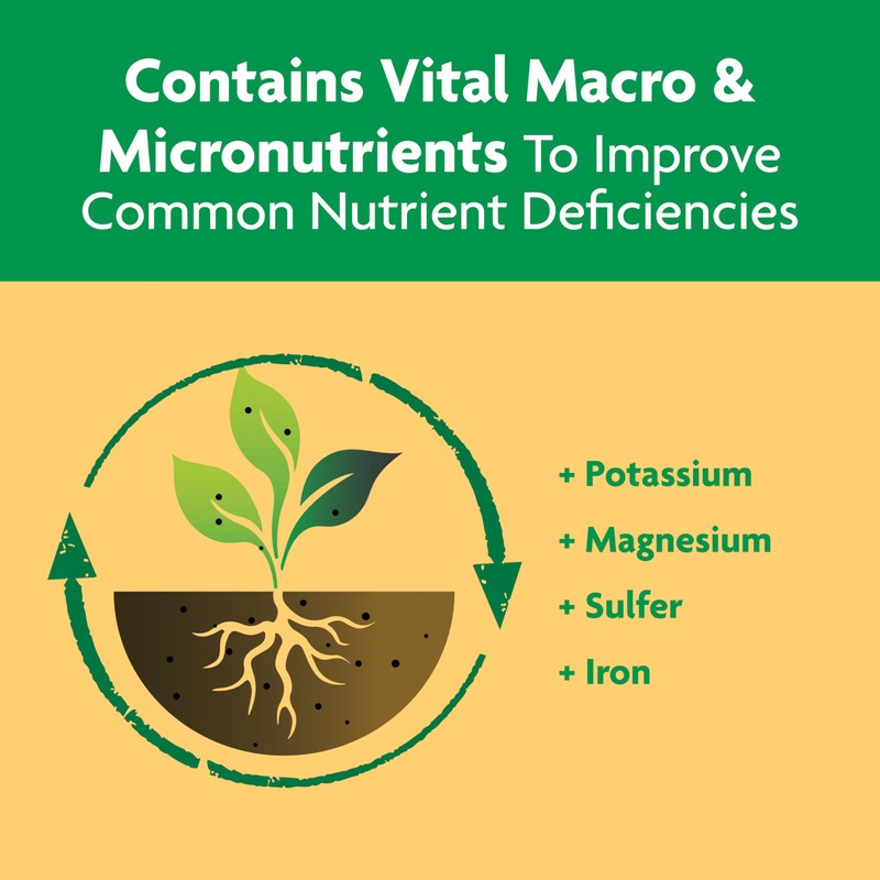 Miracle-Gro Shake 'N Feed Continuous Release Citrus, Avocado & Mango