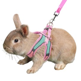 Anelekor Bunny Harness and Leash Set - Reflective Strip Kitten Vest Harness, Escape Proof Rabbit Leash Walking Pet Accessories for Cat, Dog, Guinea Pig and Small Animals (Pink, XXS)