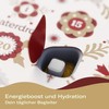 waterdrop® XXL Explorer Package: 25 Days Variety - Microdrinks, Microenergy