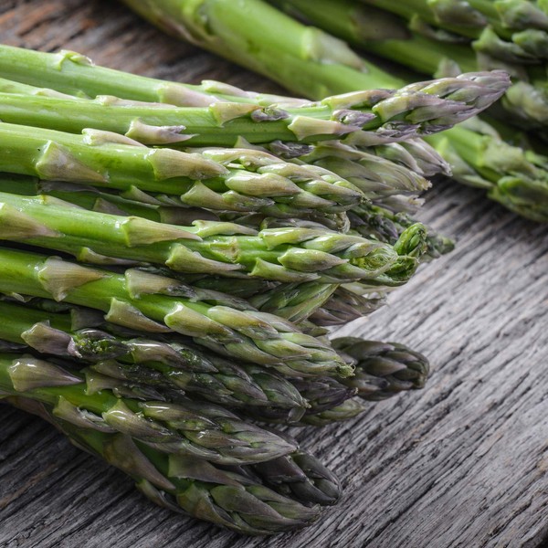 UC 157 F2 Asparagus Garden Seeds - 0.25 Oz -