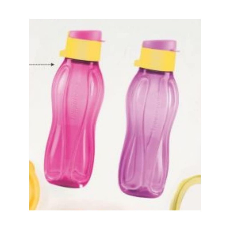 Tupperware Small 310 ml Water Bottle Set of 2 pc