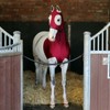 Masta Stretch Lycra Horse Head Hood with Zip - Burgundy