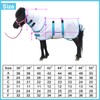 Gallopoff Pony/Mini Horse Fly Sheet Miniature Size 36"-50" Foal Weanling