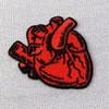 X-Ray Anatomical Heart Patch Embroidered Badge Iron On Sew On