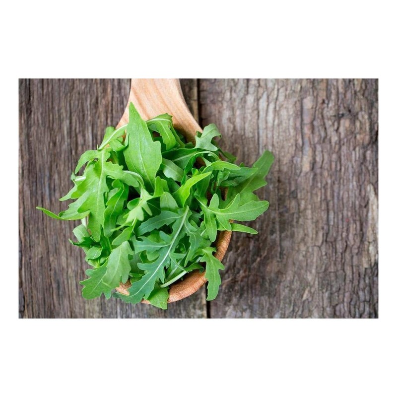 RAISE ME UP: Seeds Astro Arugula for Salad Non GMO