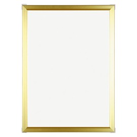 A2 Aluminum Poster Frame/E Frame (Low Reflective), A2 Size (16.5 x 23.4 inches (420 x 59
