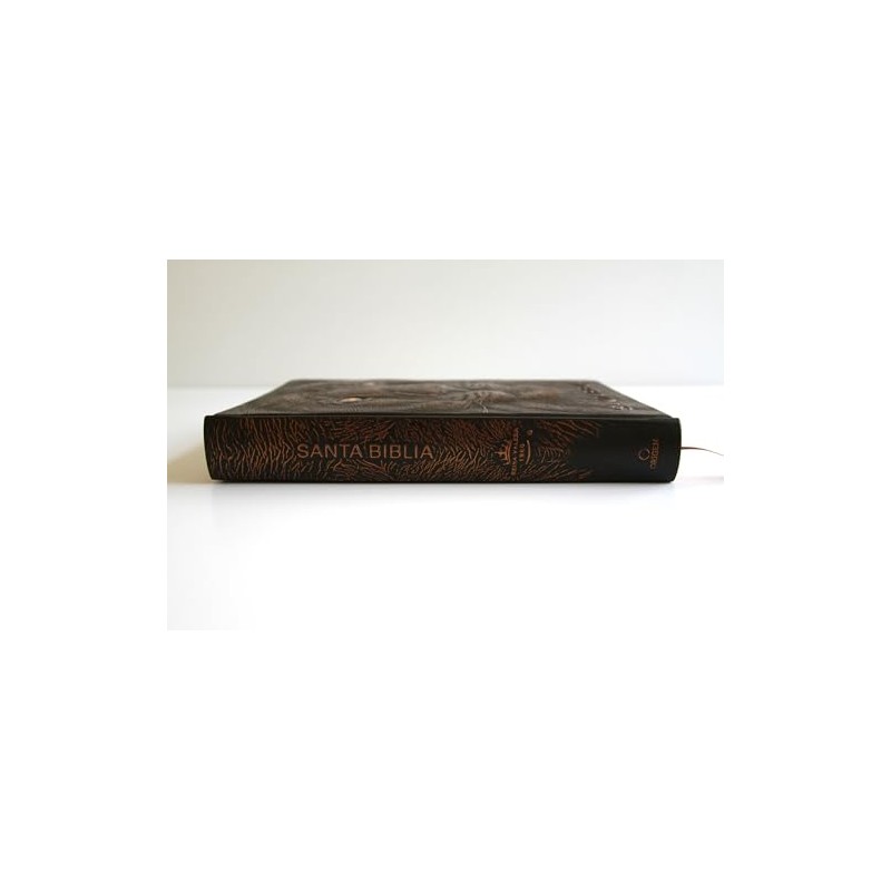 Biblia RVR 1960 Letra Grande Tamaño Manual León de Judá