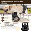 Infreecs Dog Lifting Harness for Back Legs, Dog Support Harness