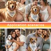Pregnancy Announcement Pet Bandana for Dog Scarf for Small Large