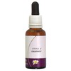 Living Essences Essence Creativity 30ml