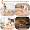 KiwiLove Cat Toys, Interactive Cat Toys for Indoor Cats, USB
