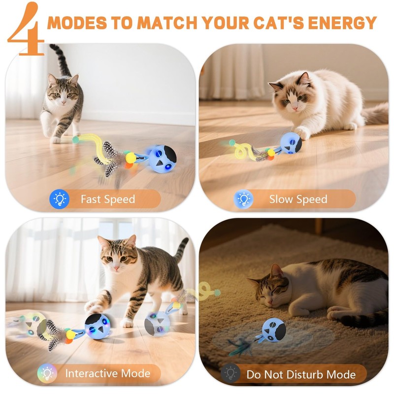 KiwiLove Cat Toys, Interactive Cat Toys for Indoor Cats, USB