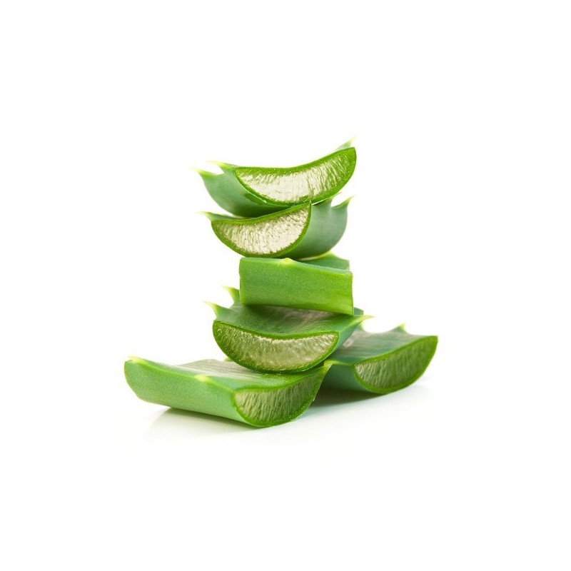 Florence Nature 1+1 유기농 알로에 베라 겔 1+1 Organic Aloe