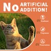 Just Try 16 oz Lysine Cat Treats - Lactoferrin Lysine