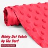 Homiest Minky Dot Fabric by The Yard, 1 Yard x