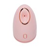 Facial Steamer with 100ml Water Tank Moisturizing Cleaning Pores Mist