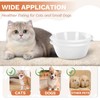 2PCS Cat Bowls Pet Feeding Dish 6.3 Inch, Wide Pet