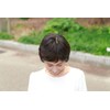 Gray Hair Kakushi Whole Type Dark Brown