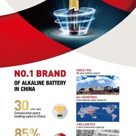 Nanfu Alkaline AA Batteries 48 Pack Accessories