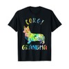 Corgi Grandma Dog Grandma Funny Corgi Owner Men Women Kids