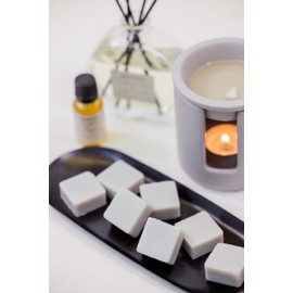 Stoneglow Modern Classics Collection - Silver Birch & Black Pepper 192 grams Scented Wax Melts (Grey)