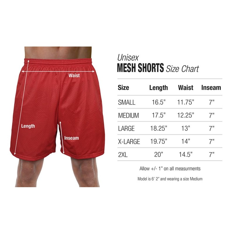 Popfunk The Flash Season 4 Logo Mens Lined Mesh Shorts,