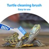 RAMGLYO 2 Pcs Turtle Cleaning Brush Turtle Shell Cleaning Brush